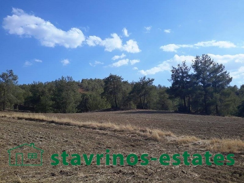 (For Sale) Land Agricultural Land  || Nicosia/Sia - 4.014 Sq.m, 110.000€ 