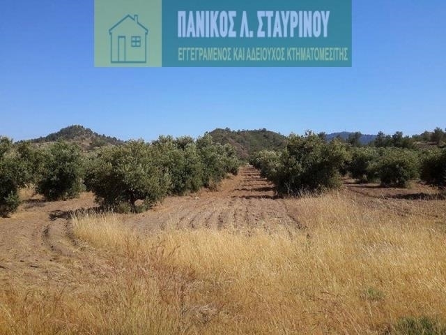 (用于出售) 建设用地 地块 || Nicosia/Agia Varvara Lefkosias - 5.351 平方米, 70.000€ 