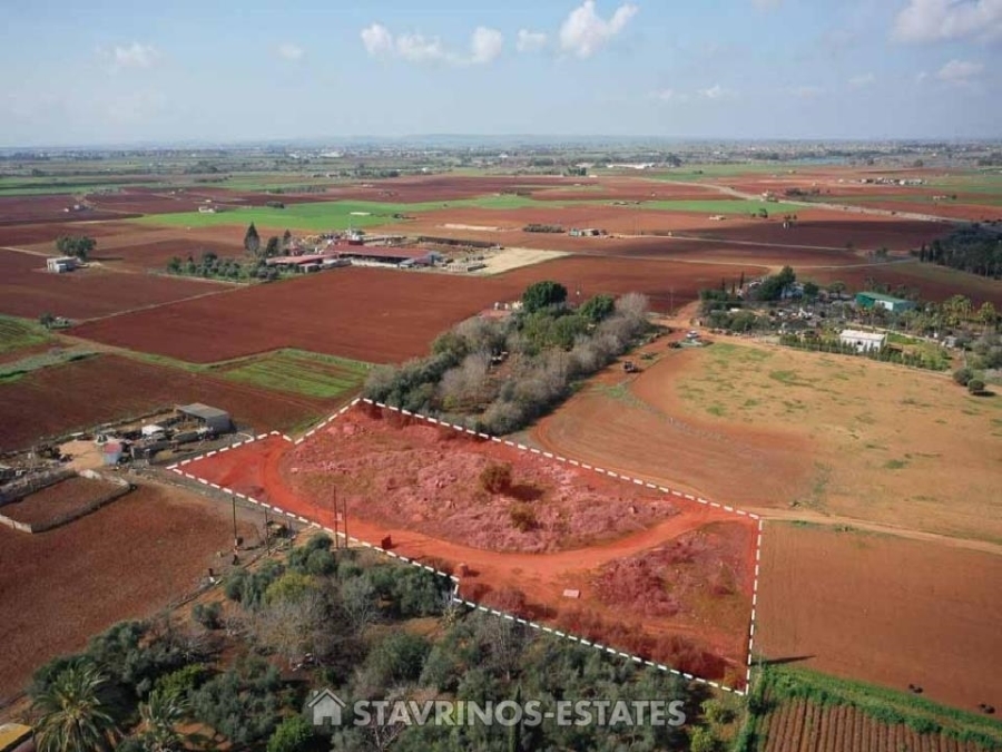 (For Sale) Land Agricultural Land  || Ammochostos/Avgorou - 4.346 Sq.m, 26.000€ 