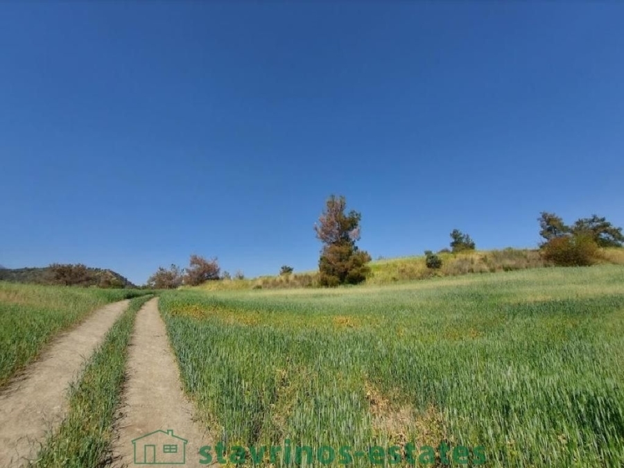 (For Sale) Land Agricultural Land  || Nicosia/Lythrodontas - 13.713 Sq.m, 22.000€ 