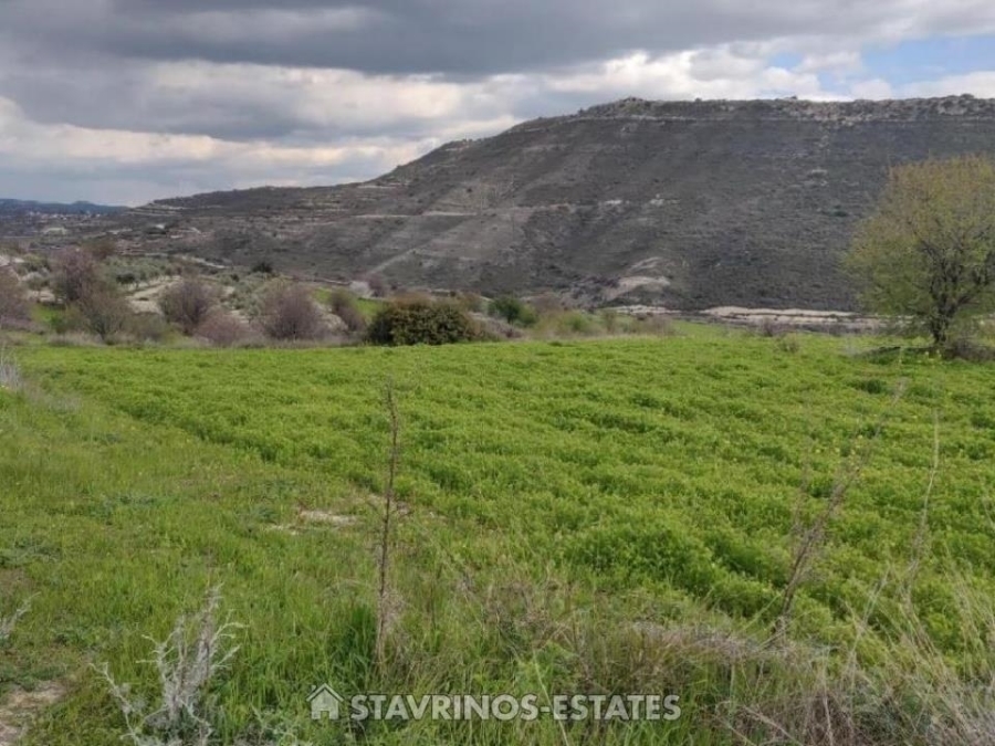 (For Sale) Land Agricultural Land  || Limassol/Pachna - 11.192 Sq.m, 18.000€ 