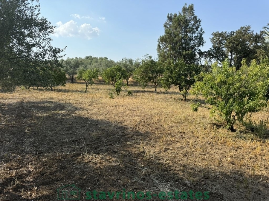 (Προς Πώληση) Κατοικία Μονοκατοικία || Λάρνακα/Μοσφιλωτή - 185 τ.μ, 3 Υ/Δ, 500.000€ 