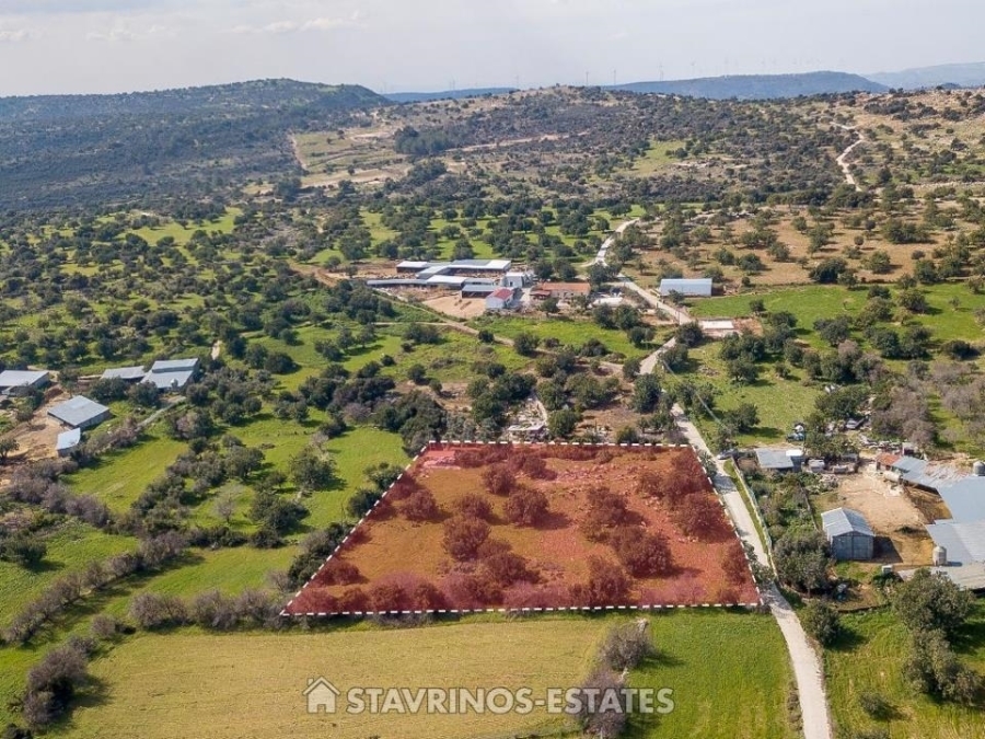 (Προς Πώληση) Αξιοποιήσιμη Γη Κτήμα || Λεμεσός/Ανώγυρα - 7.860 τ.μ, 95.000€ 