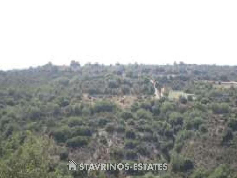 (For Sale) Land Agricultural Land  || Pafos/Polemi - 22.241 Sq.m, 28.000€ 