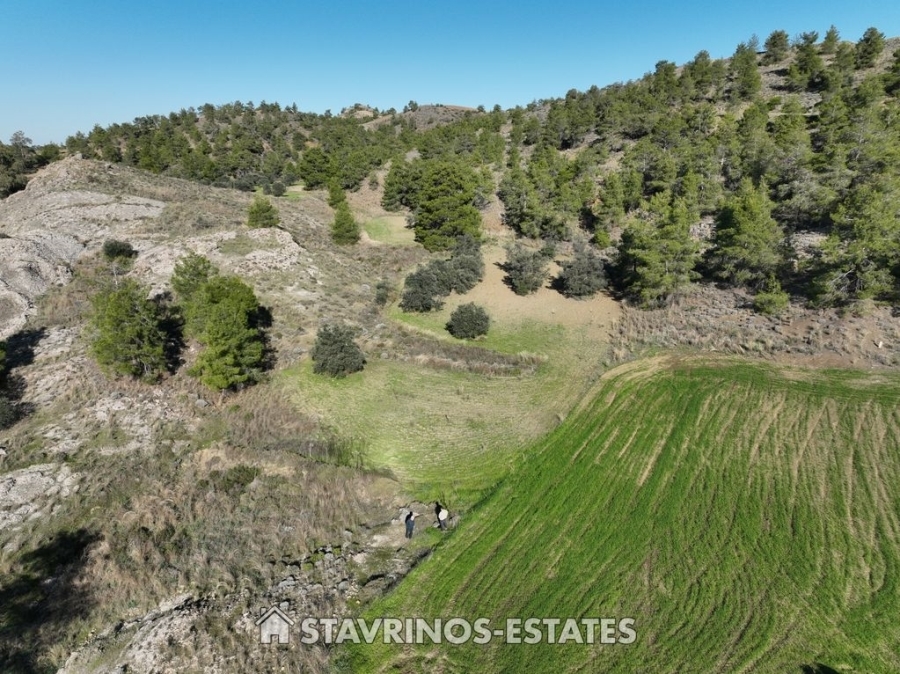 (Προς Πώληση) Αξιοποιήσιμη Γη Αγροτεμάχιο || Λευκωσία/Σιά - 7.358 τ.μ, 66.000€ 