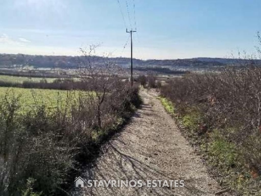 (Προς Πώληση) Αξιοποιήσιμη Γη Αγροτεμάχιο || Πάφος/Πολέμι - 11.818 τ.μ, 76.000€ 