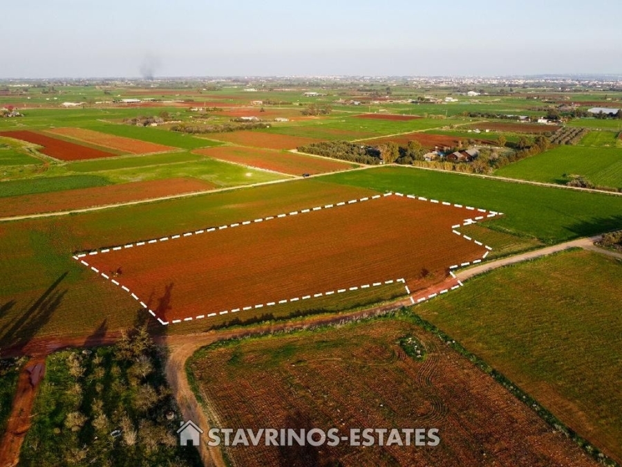 (For Sale) Land Agricultural Land  || Larnaca/Xylofagou - 9.526 Sq.m, 80.000€ 